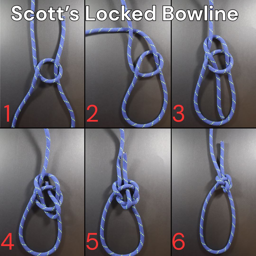 How to tie a Scott's Locked Bowline knot, step-by-step diagram showing the complete tying process